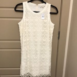 Beautiful lace dress from Loft!!